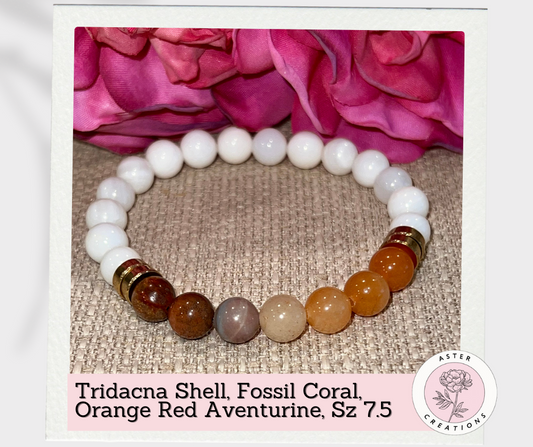 Tridacna Shell & Fossil Coral Bracelet, Size 7.5
